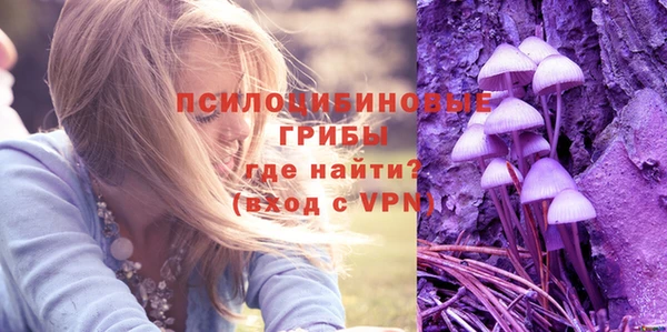 дмт Майский