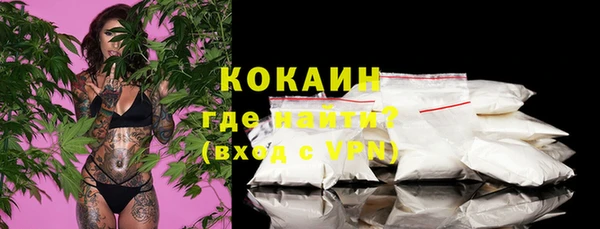 гашик Артём