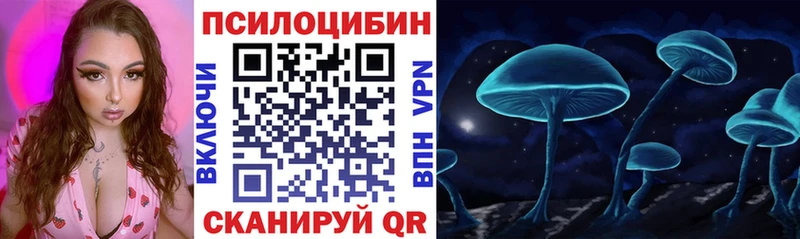 Галлюциногенные грибы Psilocybe  Кизляр 