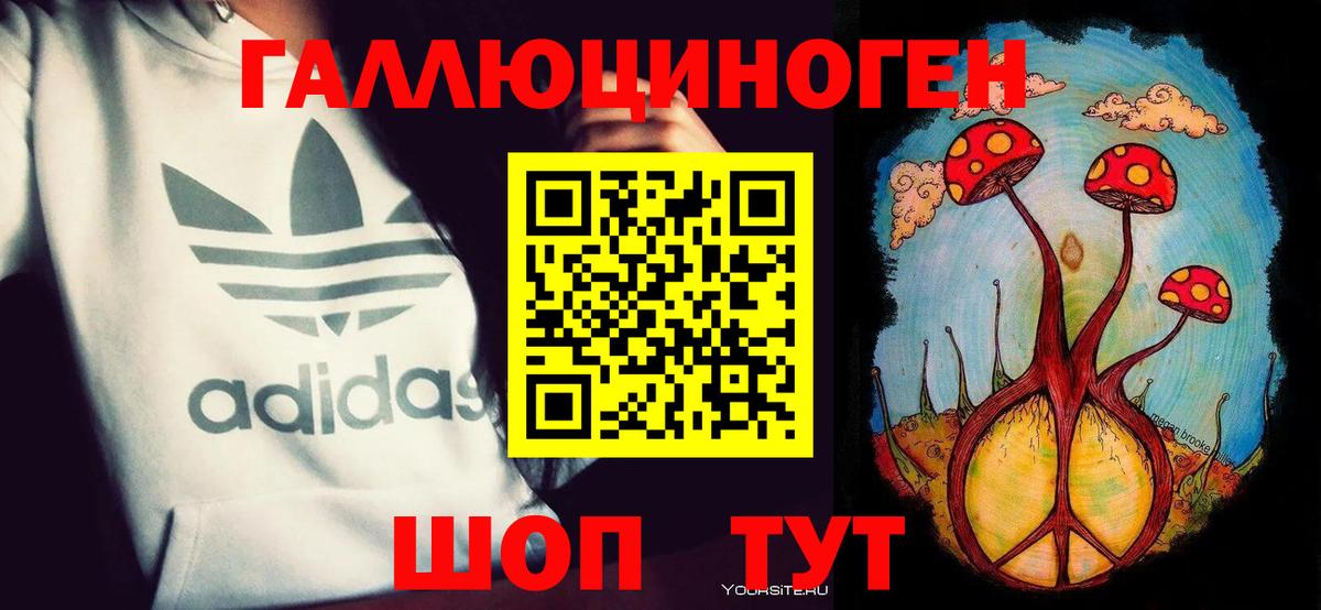 Кизляр  Галлюциногенные грибы Cubensis  Псилоцибиновые грибы мицелий  Вход с VPN 